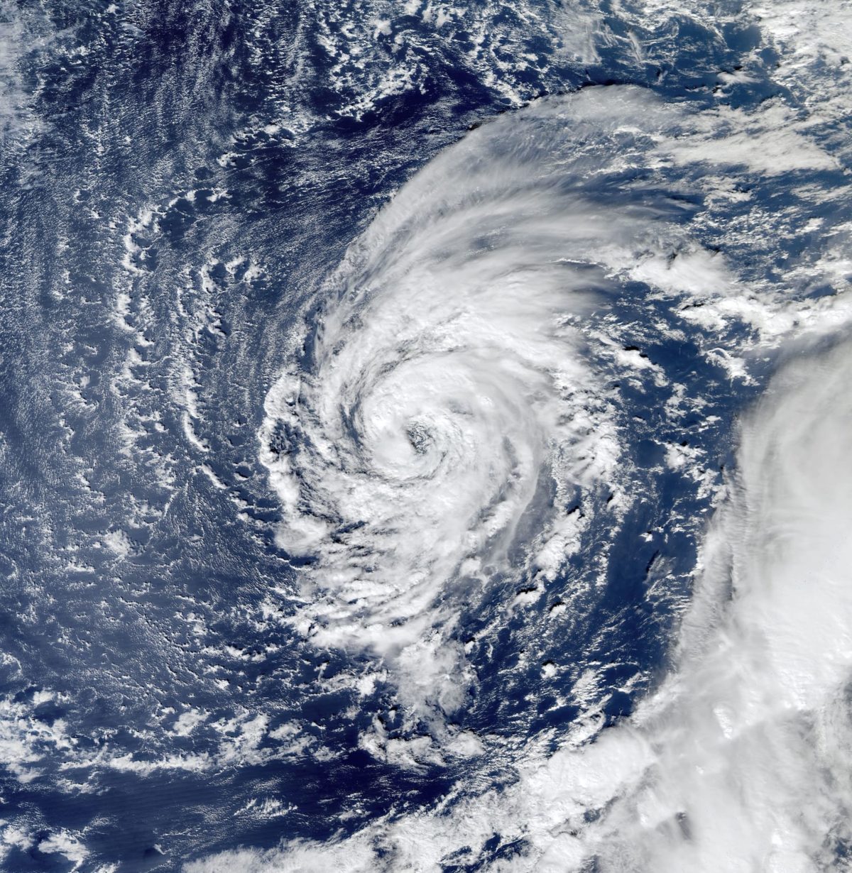 Tropical Storm Delta at peak intensity on 24 November 2005